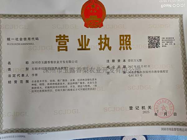 公司荣誉 
